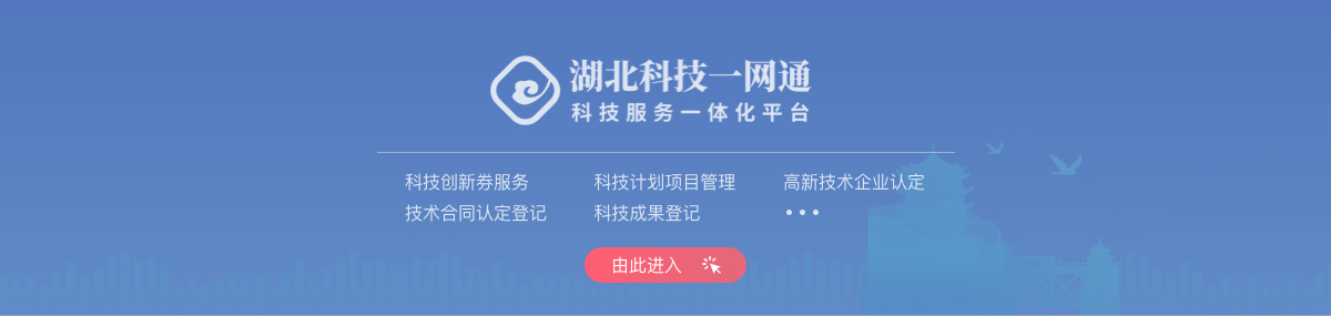 湖北科技一網通